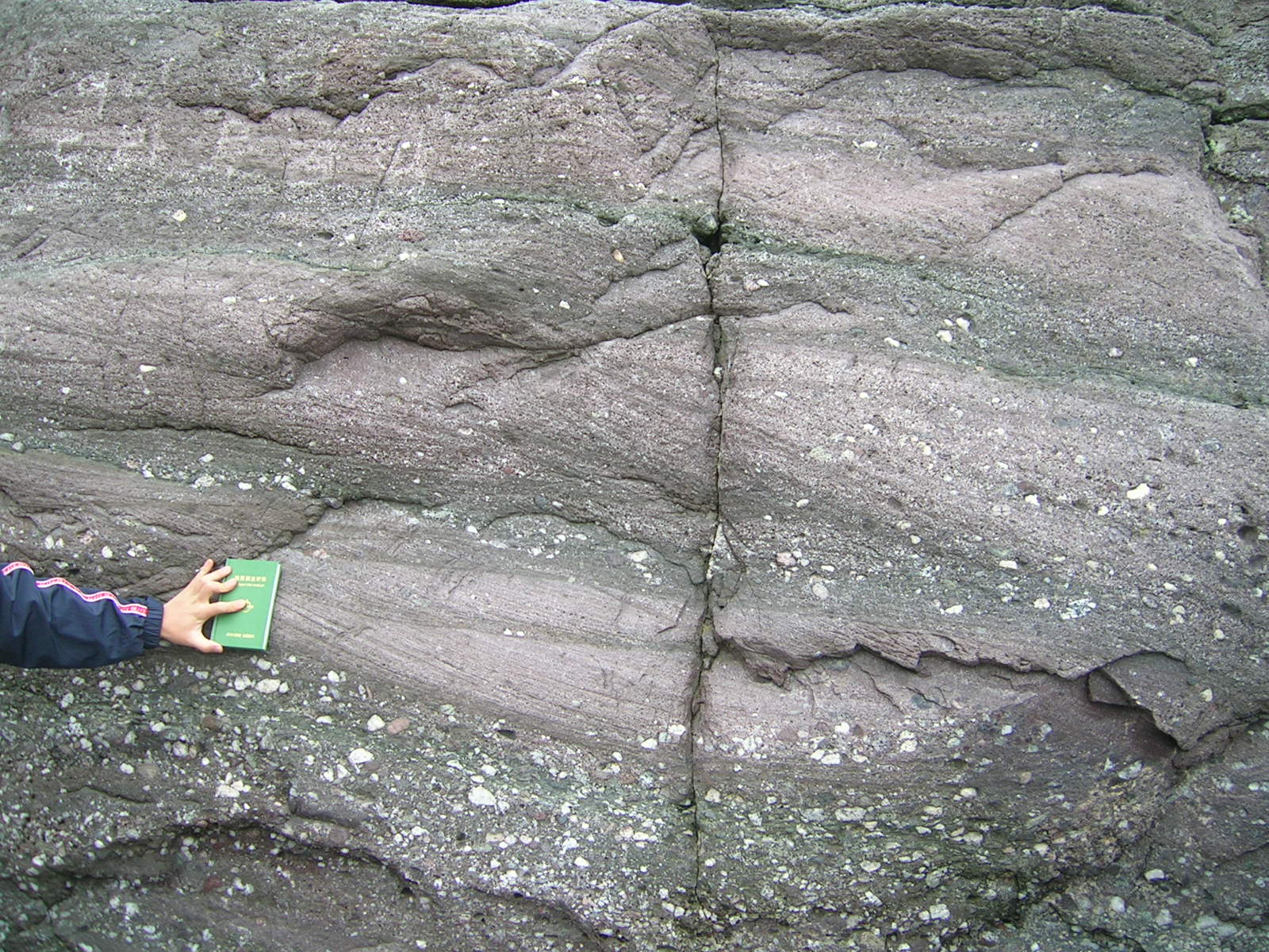 DSCN2560.JPG 첨부 이미지