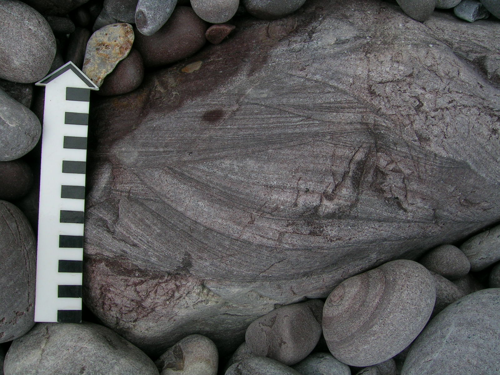 DSCN2565.JPG 첨부 이미지