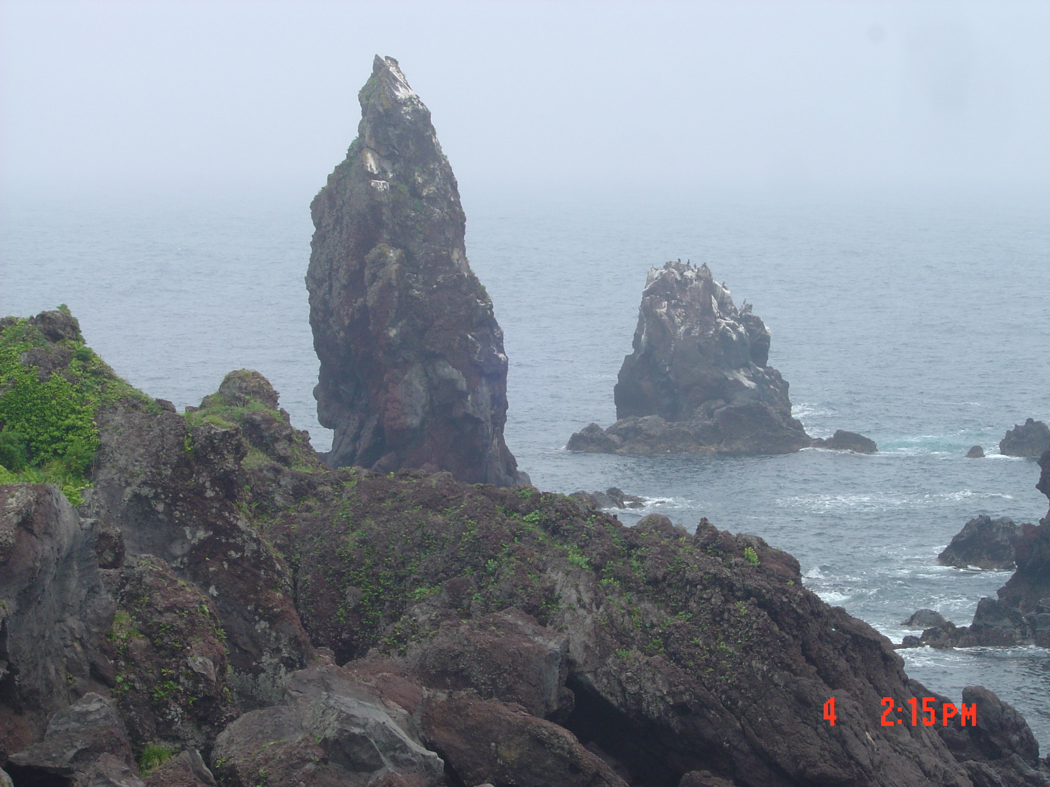 DSC00106.JPG 첨부 이미지